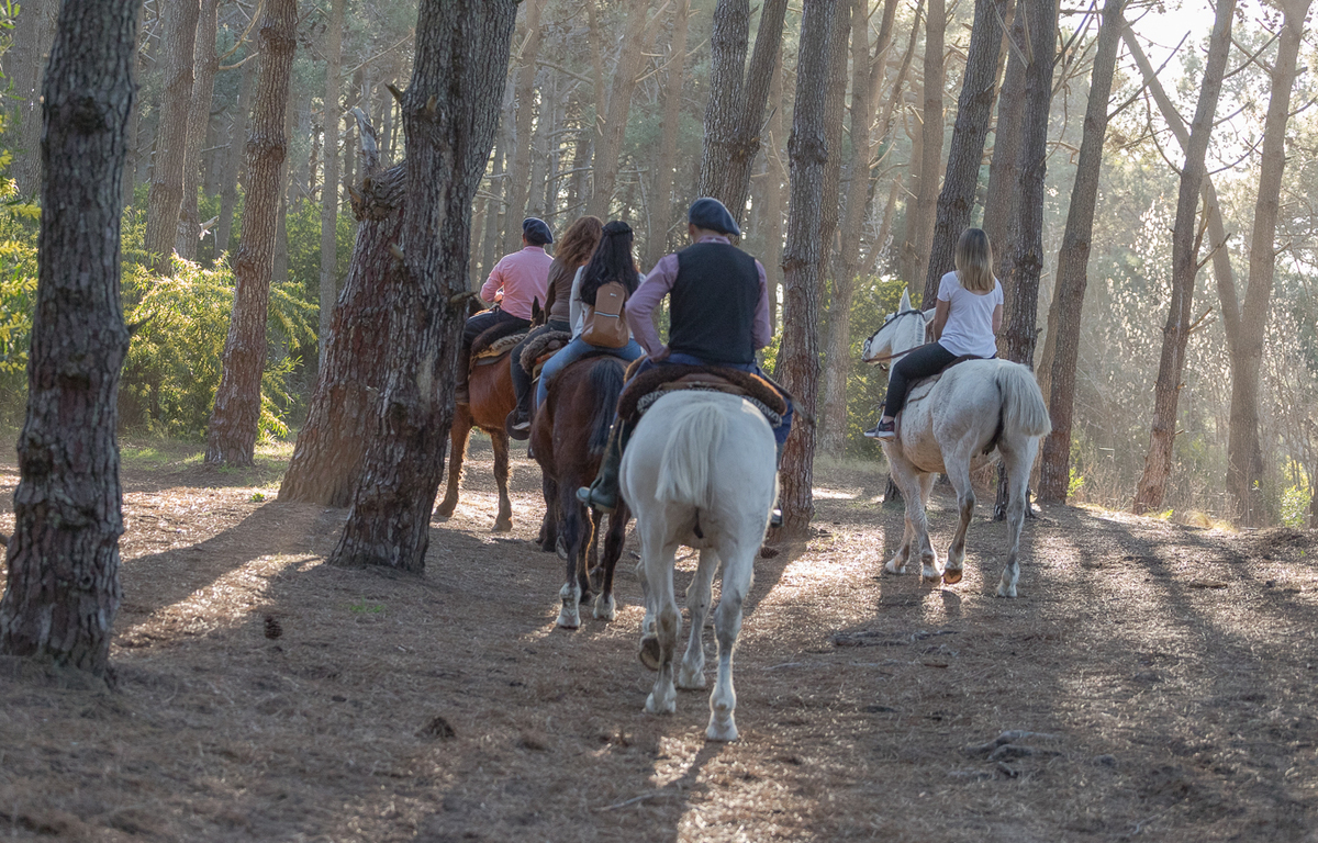 Cabalgata Costa del Este