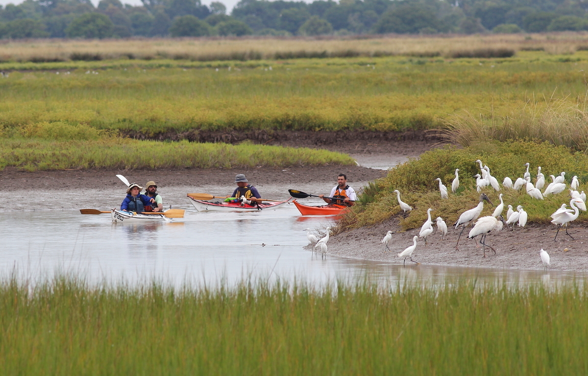 Kayak por la Bahía Samboronbóm