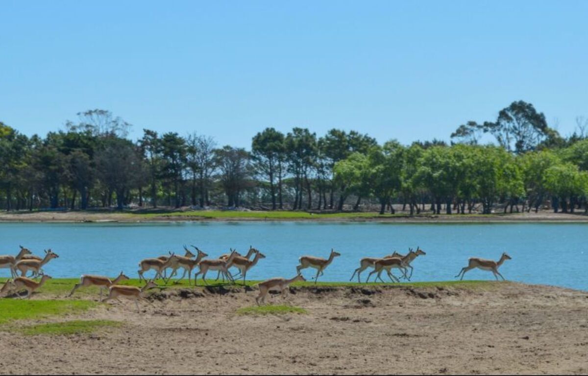  Reserva en Mundo Marino