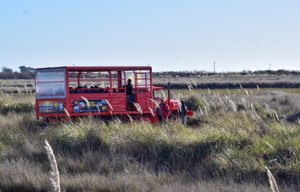 Paseo en 4x4 por Punta Rasa